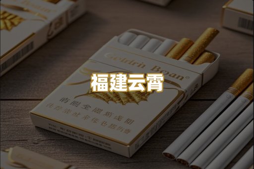 福建云霄